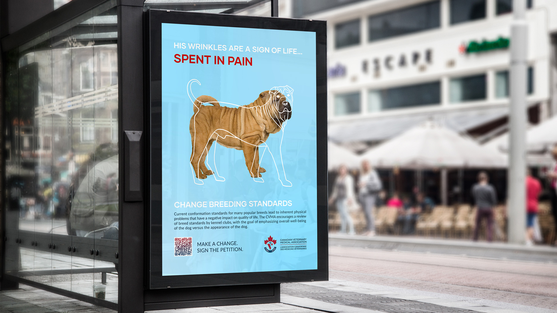 Bus shelter poster showing the outline of an 1800s sharpei dog over the photo of a modern-day sharpei dog. Text above reads 'his wrinkles are a sign of life spent in pain'. Text below reads 'Change Breeding Standards'.